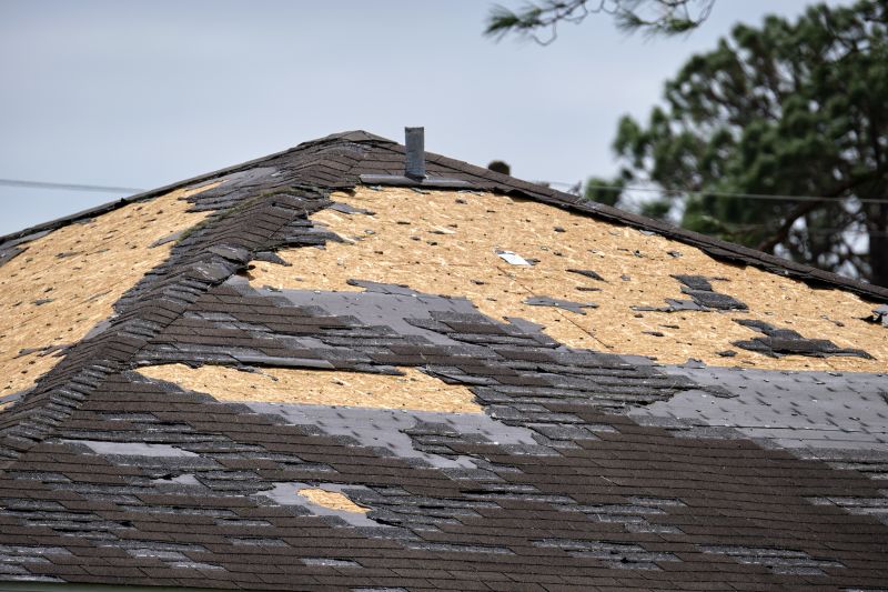 Damaged Porch Roof